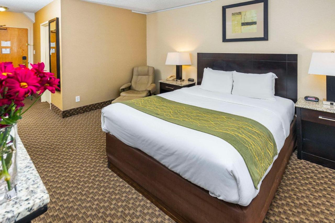 Comfort Inn & Suites Edmonton Exterior foto